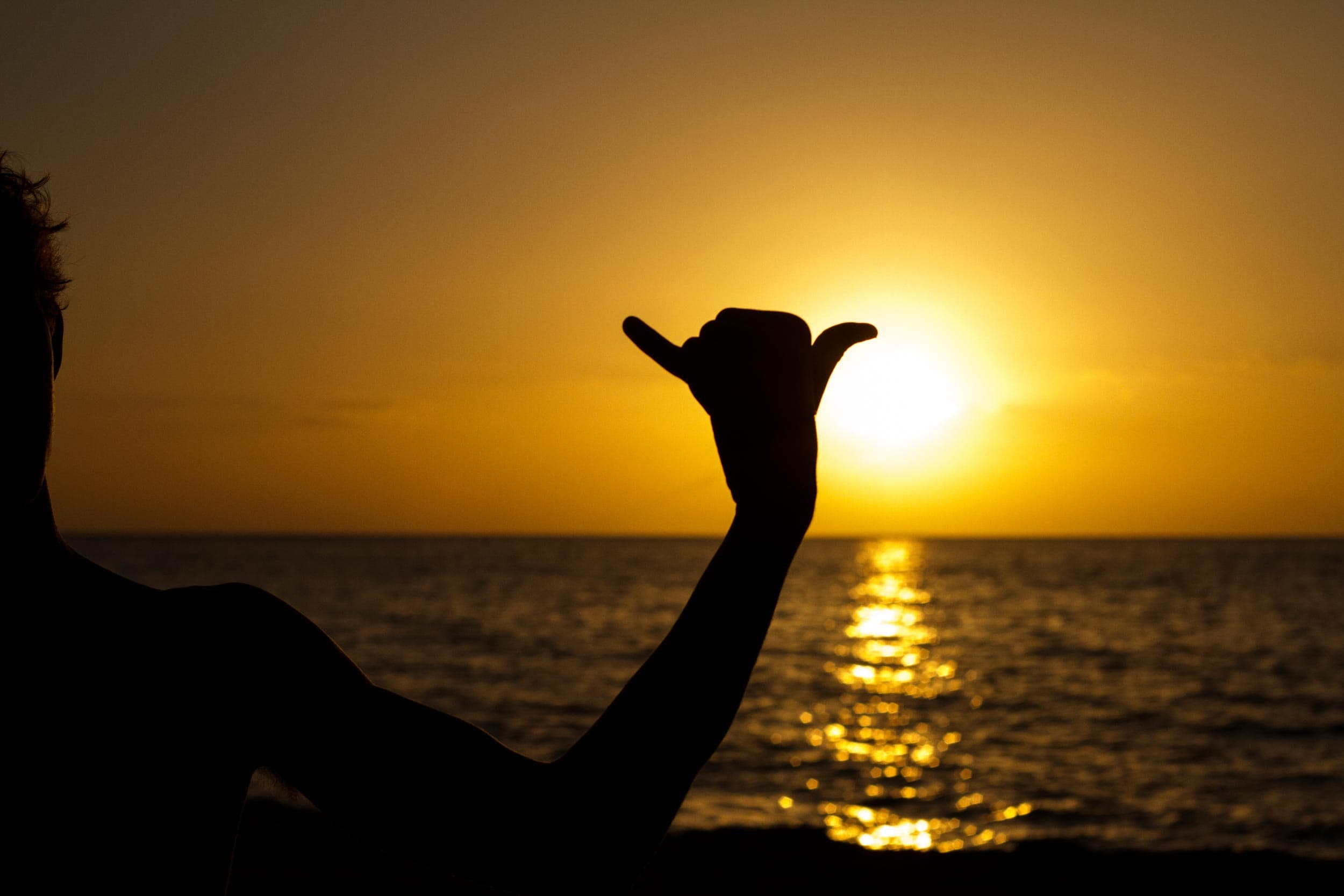 Hawaiian Sun